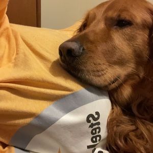 Meet your Posher, Lora